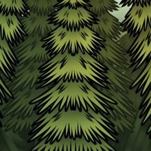 How to Draw a Spruce Tree