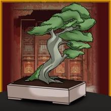 How to Draw a Bonsai Tree how-to draw lesson