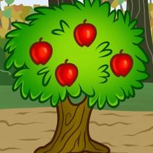 How to Draw a Fruit Tree
