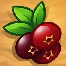 How to Draw Cranberries