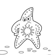 ­Starfish coloring page