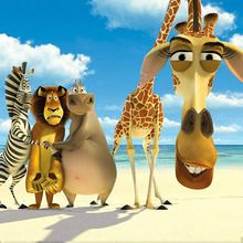 DIY Do It Yourself, Madagascar 2: Escape 2 Africa Cards