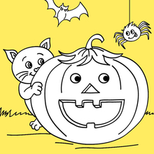 Smiling pumpkin with halloween friends coloring page