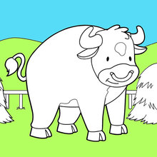 Bull inside his Pasture coloring page