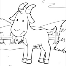 Goat At The Barnyard coloring page
