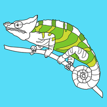 Chameleon printable coloring page