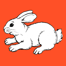 Rabbit Coloring Pages