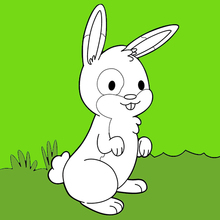Rabbit In The Garden coloring page