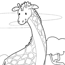 Giraffe near a Lake coloring page