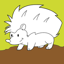 Hedgehog In the Forest coloring page