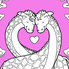 Giraffes in love coloring page