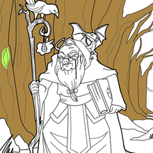 Animal Tamer Wizard coloring page