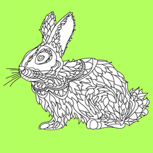 Rabbit worksheet