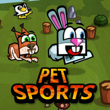 Pet Sports online game