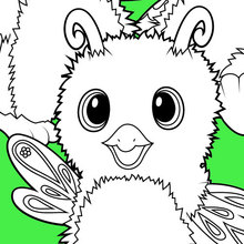 Hatchimals Burtle, Owlicorn and Bearakeet coloring page