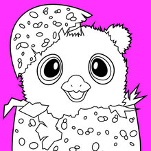 Hatchimals Owlicorn coloring page