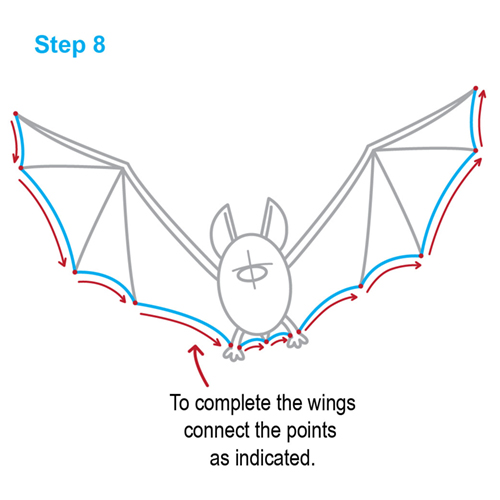 How to draw bat - Hellokids.com