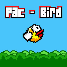 Pac Bird