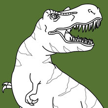 Tyrannosaure simples - Dinossauros - Just Color Crianças : Páginas para  colorir para crianças