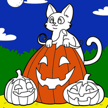 Chat, Citrouille, Halloween coloring page