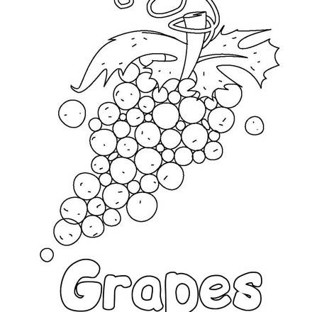 FRUIT coloring pages - Coloring pages - Printable Coloring Pages ...