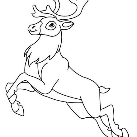 Reindeer : Coloring pages, Drawing for Kids, Kids Crafts and Activities
