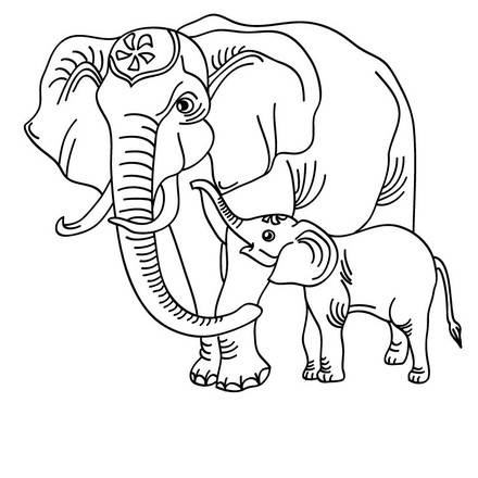 Elephant : Coloring pages, Drawing for Kids, Reading & Learning, Free ...