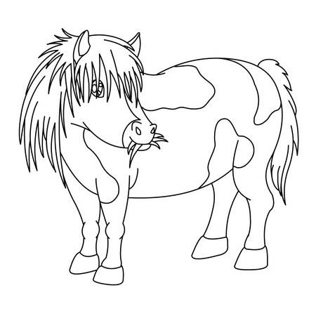 PONY coloring pages - 13 ANIMALS of the world coloring books for kids ...