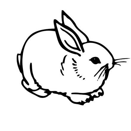 RABBIT Coloring Pages - 2 free Pets and animals coloring pages & online ...