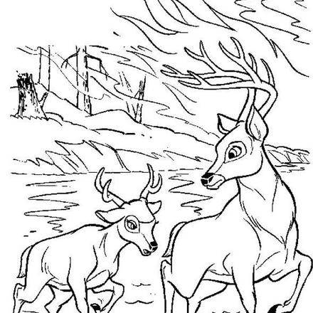 BAMBI coloring pages - 126 free Disney printables for kids to color online