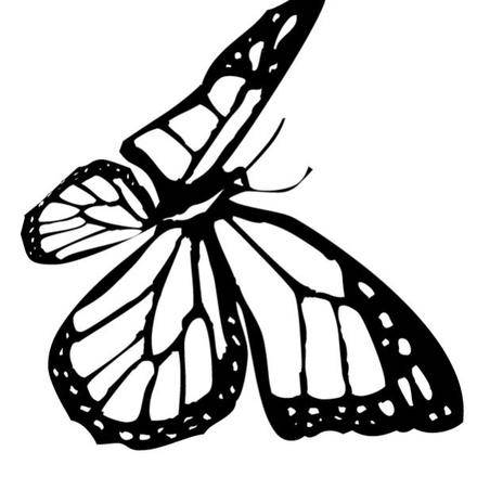 Butterfly : Coloring Pages, Drawing For Kids, Kids Crafts And 