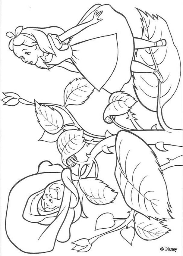 Alice Wonderland Coloring Pages 9