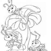 A bug's life 13 - Coloring page - DISNEY coloring pages - A Bugs life coloring pages