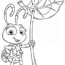 A bug's life 14 - Coloring page - DISNEY coloring pages - A Bugs life coloring pages