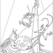 A bug's life 23 - Coloring page - DISNEY coloring pages - A Bugs life coloring pages