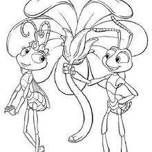 A bug's life 25 - Coloring page - DISNEY coloring pages - A Bugs life coloring pages