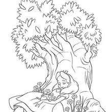 Alice  9 - Coloring page - DISNEY coloring pages - Alice in Wonderland coloring pages