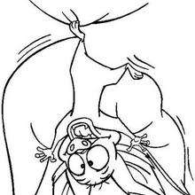 Bartok the bat - Coloring page - MOVIE coloring pages - ANASTASIA coloring pages