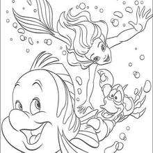 Ariel, Flounder and Sebastian - Coloring page - DISNEY coloring pages - The Little Mermaid coloring pages