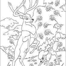 Bambi 14 coloring page