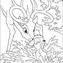 Bambi 15 coloring page
