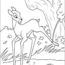 Bambi 19 - Coloring page - DISNEY coloring pages - BAMBI coloring pages