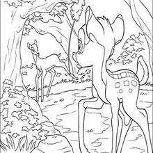 Bambi 21 - Coloring page - DISNEY coloring pages - BAMBI coloring pages