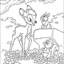 Bambi 28 - Coloring page - DISNEY coloring pages - BAMBI coloring pages