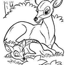 Bambi 29 - Coloring page - DISNEY coloring pages - BAMBI coloring pages