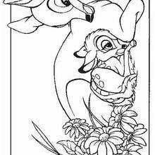 Bambi 33 - Coloring page - DISNEY coloring pages - BAMBI coloring pages