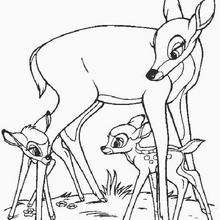 Bambi 35 - Coloring page - DISNEY coloring pages - BAMBI coloring pages