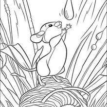 Bambi's friends 5 coloring page
