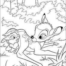 Bambi 45 - Coloring page - DISNEY coloring pages - BAMBI coloring pages
