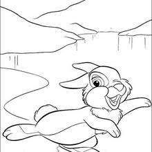 Thumper 11 - Coloring page - DISNEY coloring pages - BAMBI coloring pages